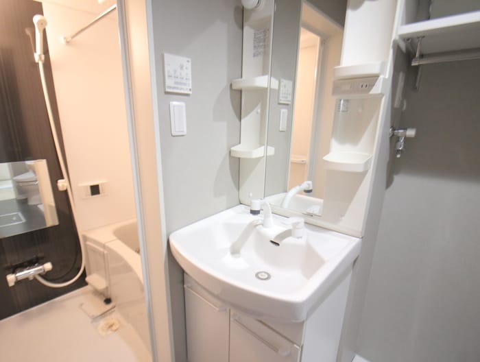 洗面 Monstera春敲