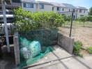 その他 ｱﾝﾌﾟﾙ-ﾙ ﾌｪ-ﾙ ｼｬﾙﾏﾝ