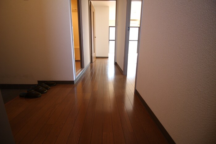 廊下 サクラピアⅡ