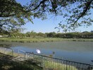 ほら貝公園(公園)まで510m ラピスド相生