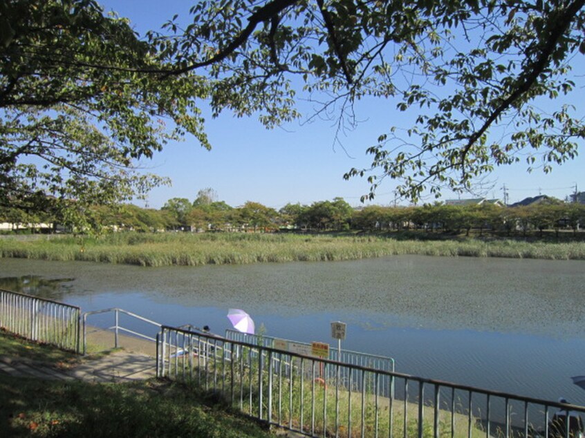 ほら貝公園(公園)まで510m ラピスド相生