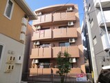 シェーネ幸