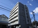完成写真