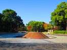 名城公園(公園)まで357m サンピアオカヤス