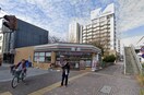 セブンイレブン名古屋東桜1丁目店(コンビニ)まで500m ブルーシャンピア芝川
