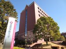 金城学院大学(大学/短大/専門学校)まで932m ディアコ－ト美濃喜