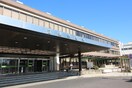 江南市役所(役所)まで1900m 緑ヶ丘角新ビル