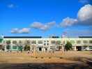 大杉小学校(小学校)まで150m Creo志賀本通