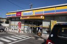 ミニストップ猪之越町店(コンビニ)まで449m Lucie本陣