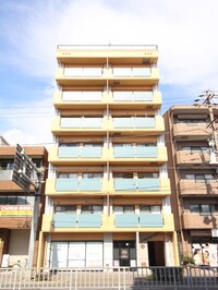 フリージア