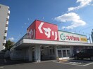 スギ薬局(ドラッグストア)まで290m 浅井第２ビル
