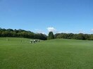 森林公園(公園)まで1048m パレスブライトヒルズ