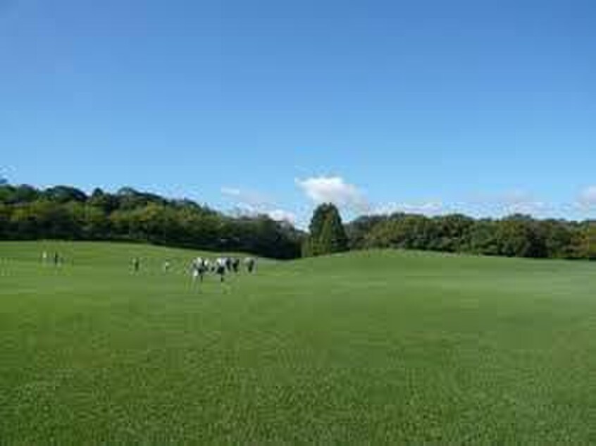 森林公園(公園)まで1048m パレスブライトヒルズ