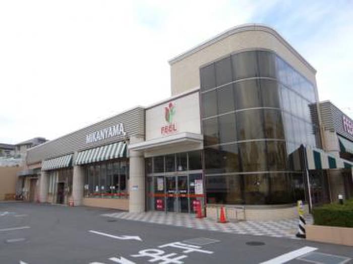 ＦＥＥＬみかん山店(スーパー)まで618m グランドヒルズ早川