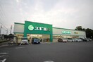 スギ薬局高浜店(ドラッグストア)まで740m アンプル－ルリ－ブル悠Ⅱ