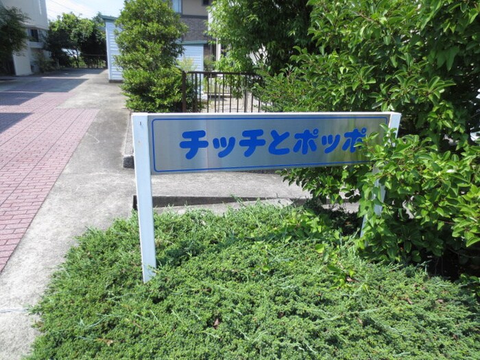 その他 チッチとポッポＢ