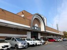 ドミー若松店(スーパー)まで672m ＦＬＡＴＳわかまつ