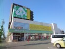 ジップドラッグ白沢八田店(ドラッグストア)まで734m ハーモニーテラス烏森町