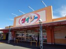 ザ・ダイソー小牧パワーズ店(100均)まで1000m ルレ－ヴ・アルカディア