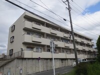 シャインアサイ