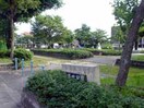 脇田公園(公園)まで275m クイール八剣