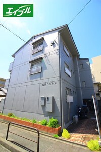 高見パピルス