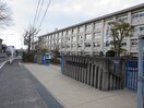 末野原中学校(中学校/中等教育学校)まで1300m グランドハイツ豊田