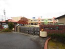 大林こども園(幼稚園/保育園)まで250m グランドハイツ豊田
