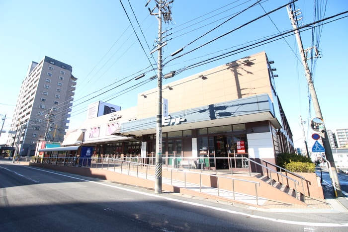 ドミー(スーパー)まで570m ヴィラ山之手