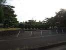 中央公園(公園)まで600m 尾崎町上田66貸家