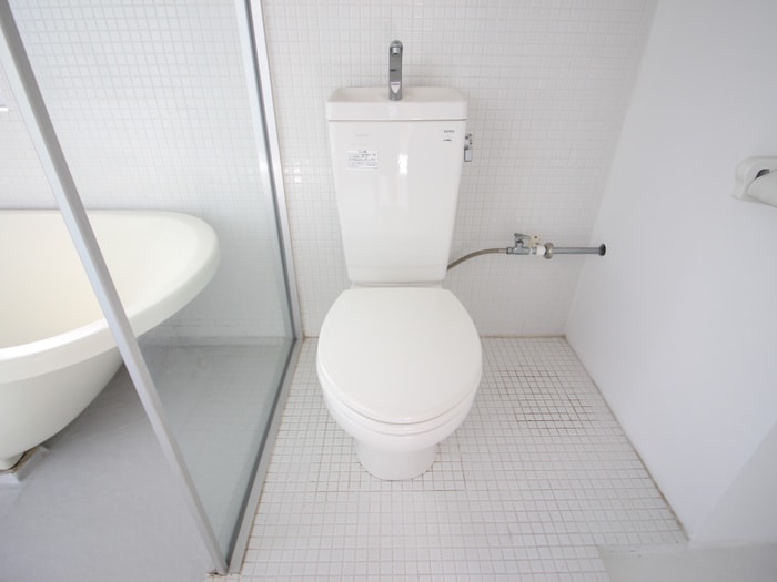 トイレ CRETACEOUS PARKⅤ