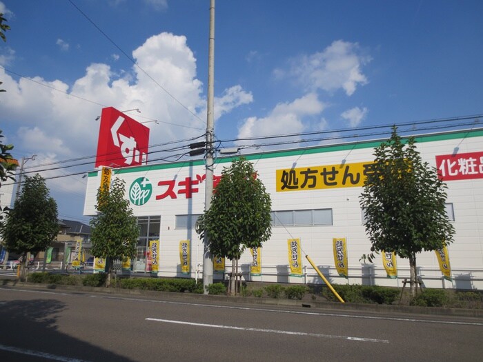 スギ薬局(ディスカウントショップ)まで225m ニコニコスギモト