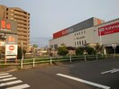 DCMカーマ八田店(電気量販店/ホームセンター)まで347m シェソワ八社