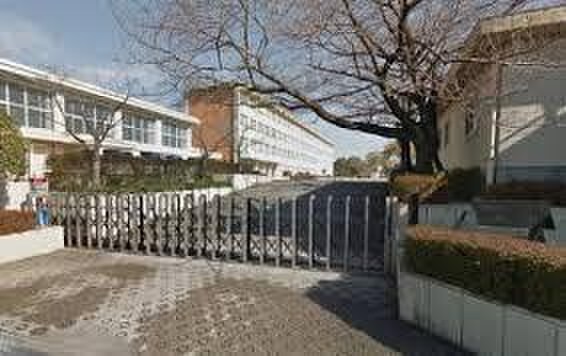 三郷小学校(小学校)まで144m レナジア三郷