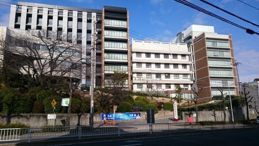 名城大学薬学部(大学/短大/専門学校)まで350m SAINT EAST OF YAMATE