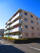 メゾン浪打(1－7)の外観