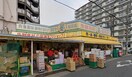 タチヤ(スーパー)まで687m S-RESIDENCE堀田beaute