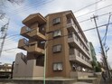 完成写真
