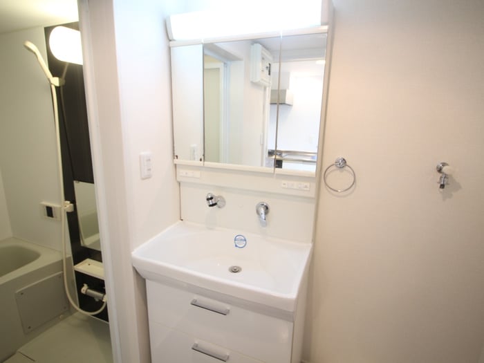 洗面 Ｃａｓａ　Ｚｉｒｕｃｏｎ