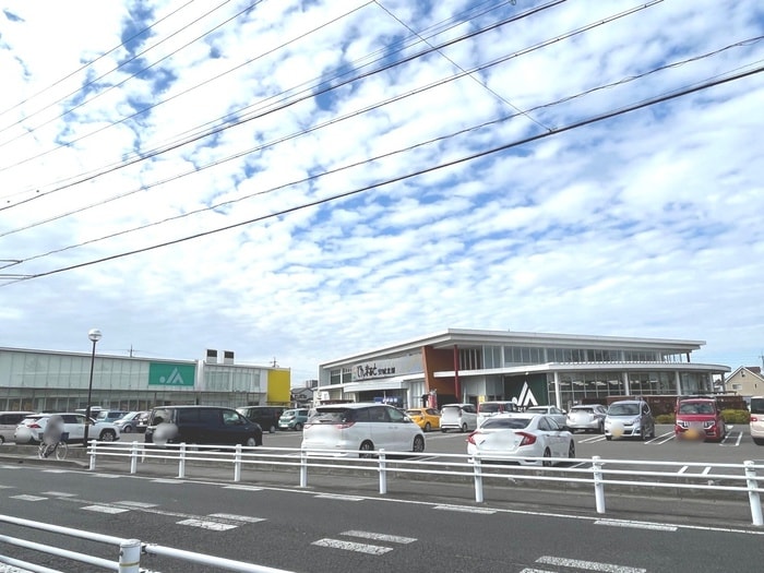 でんまぁと安城北部(スーパー)まで497m ターナ　ＴＯＥＩ