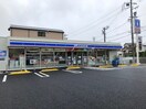 ローソン 緑区桶狭間店(コンビニ)まで210m サンヒルズ青山