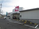 スギ薬局みかん山店(ドラッグストア)まで700m ライヒレーベン