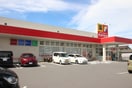 サンドラッグ美和店(ドラッグストア)まで172m Ｌｕｃｅ1