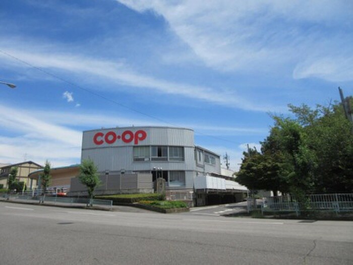 コープあいち(スーパー)まで898m サンリットララ