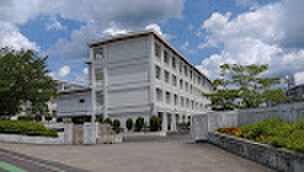 岩成台中学校(中学校/中等教育学校)まで569m サンリットララ