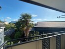 室内からの展望 ビューラー丸山