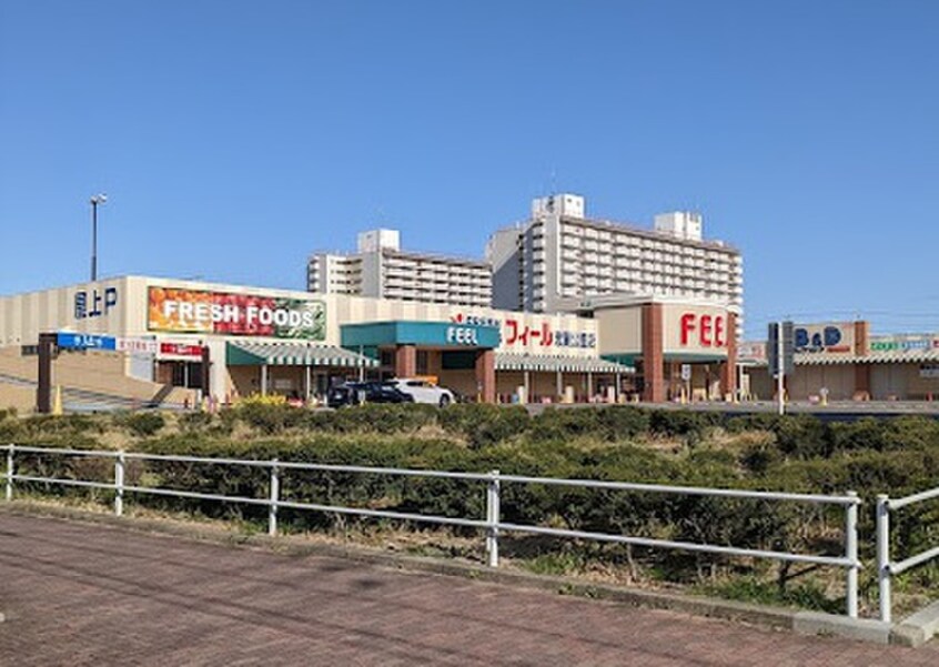 B＆D志賀公園(ドラッグストア)まで1050m ジュネス平松