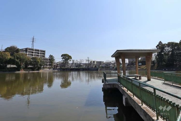 神丘公園(公園)まで240m ｸﾞﾛ-ﾘｱｽﾋﾙｽﾞ名東神丘町(401)