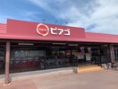 ピアゴ(スーパー)まで900m カトルセゾン