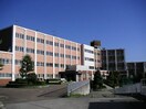 名古屋市立牧の池中学校(中学校/中等教育学校)まで280m パークサイド名東